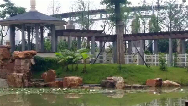 合肥七中教育档案(49):我在合肥七中新校的一天(学生篇)(图1)