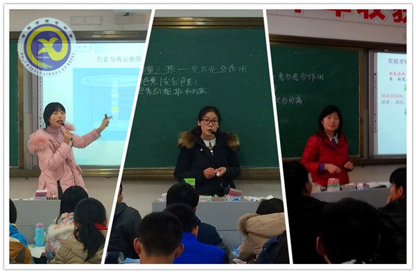 小荷才露尖尖角 早有蜻蜓立上头(图3)