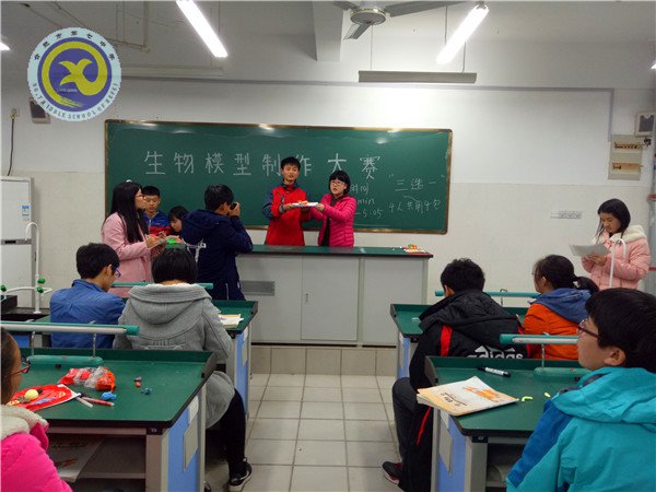 制作生物模型 体验生命奥秘(图1)