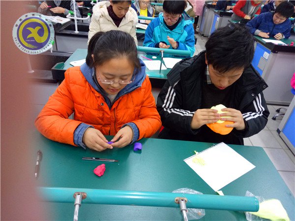 制作生物模型 体验生命奥秘(图2)