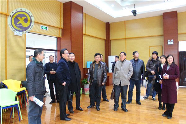 春来百花开，花香蝶自来(图5)