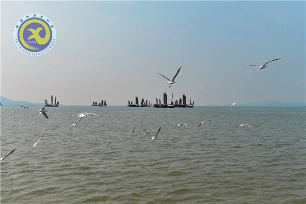 壮志少年远游学 樱花微雨趁春光(图4)