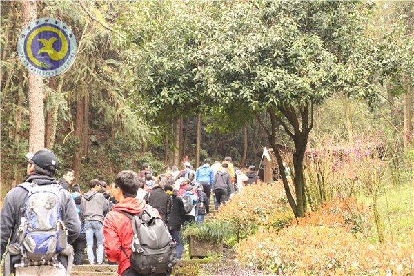 徽风皖韵醉春风 愚人痴言欲长留(图2)