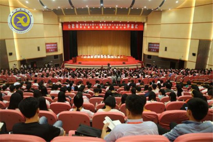 热烈祝贺合肥七中蔡诚昊同学荣获“合肥市十佳中学生”称号(图1)