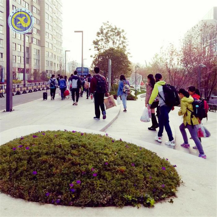 离时古寺西边路，莘莘学子满目中(图1)