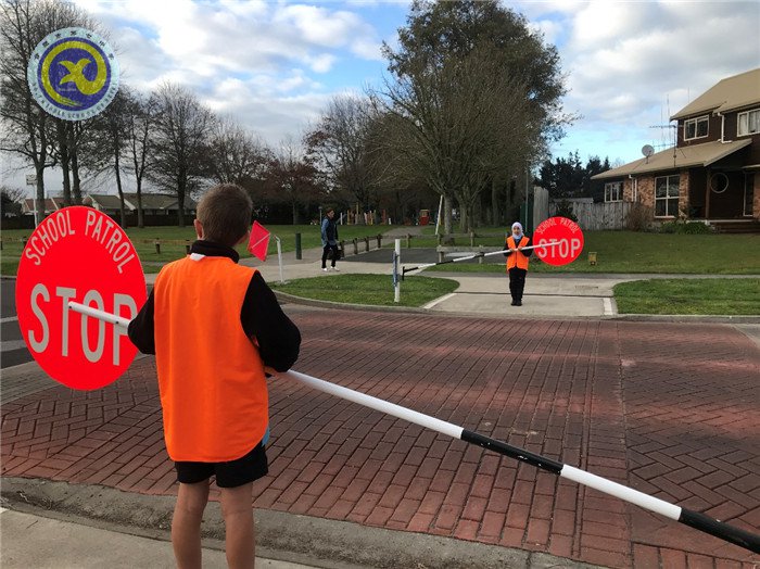 经历,学习,收获(图5)