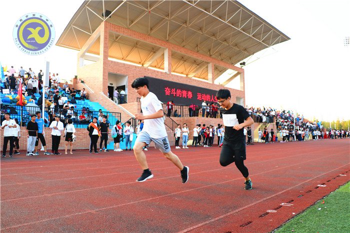 人生运动精彩    青春奋斗报国(图15)