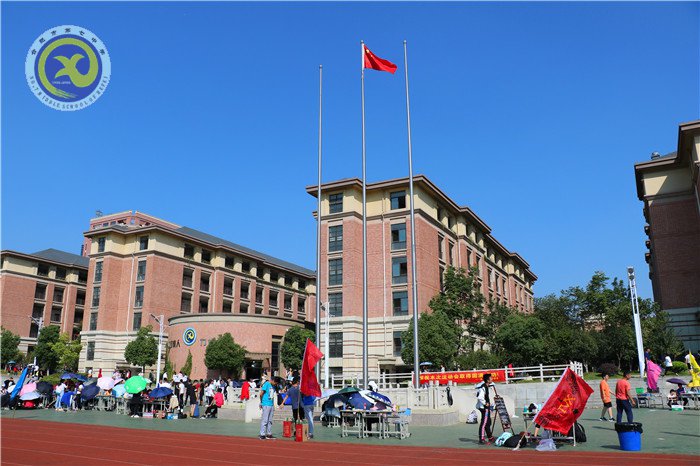 运动场上的另一抹色彩(图1)