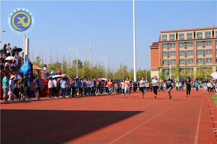 运动场上的另一抹色彩(图2)