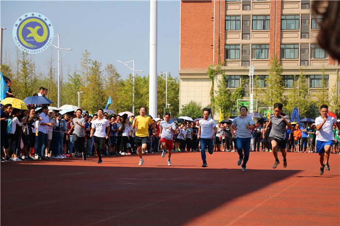 运动场上的另一抹色彩(图3)