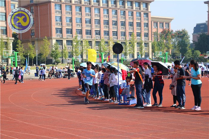 运动场上的另一抹色彩(图8)