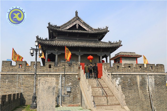 绿柳含烟日,踏青正当时(图3)