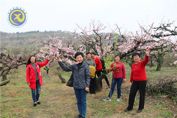 绿柳含烟日,踏青正当时(图7)