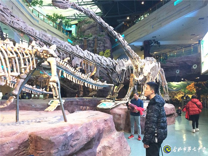 五育并举，以美辅德(图2)