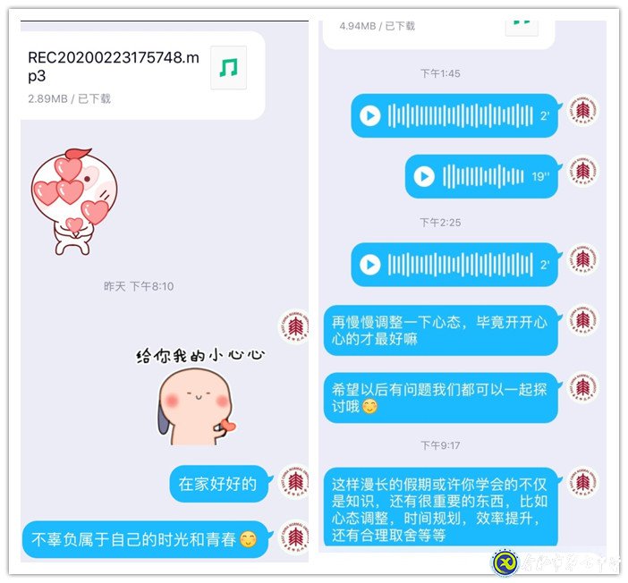 战疫育人,主题班会多样化(图10)