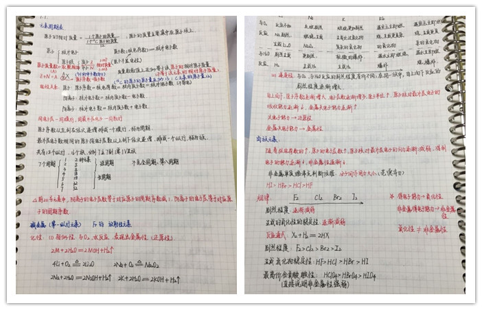 耕耘不辍秉初心 智慧领航显担当(图4)