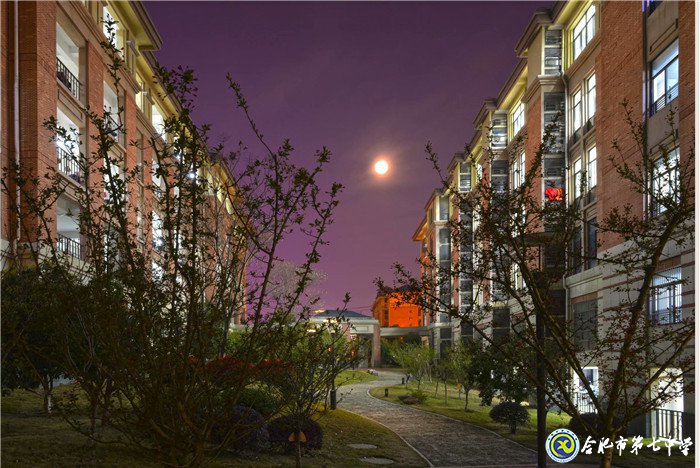 万家教育:“七”之伊始 向阳新生!合肥市这所高中正在“乘风破浪”!(图10)