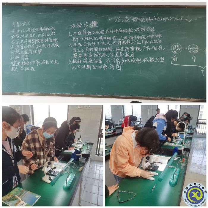 高一年级学生实验过程中.jpg 高一年级学生实验过程中.jpg