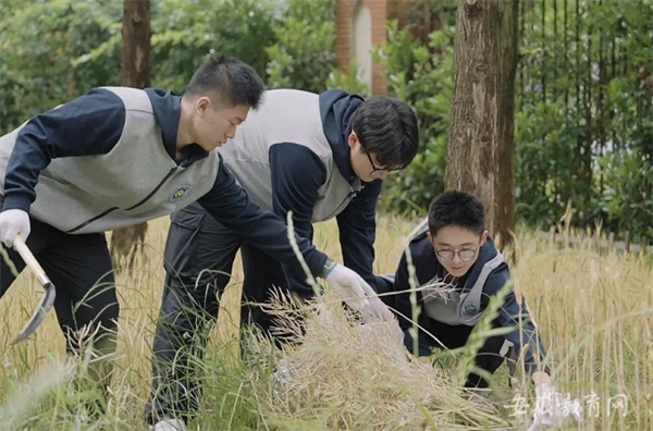 安徽省教育厅：美好生活 劳动创造 合肥七中开展系列劳动实践教育活动(图1)