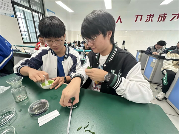 在实践中感悟：合肥七中高三生物实验助力深度学习(图4)