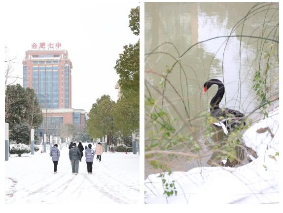 QQ截图20260121100042.jpg QQ截图20260121100042.jpg