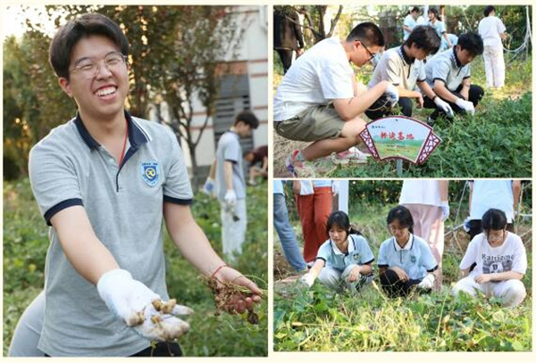 QQ截图20260123125702.jpg QQ截图20260123125702.jpg