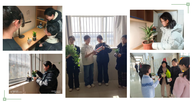 QQ截图20260319091314.png QQ截图20260319091314.png