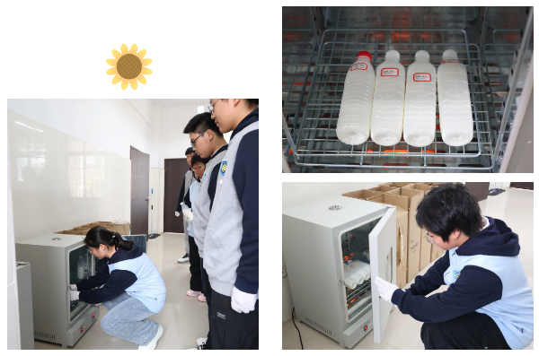 QQ截图20260413111504.png QQ截图20260413111504.png