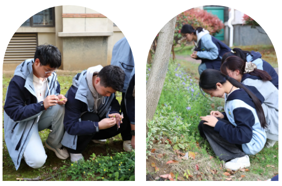 QQ截图20260422082905.png QQ截图20260422082905.png