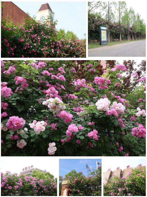 QQ截图20260428153431.jpg QQ截图20260428153431.jpg