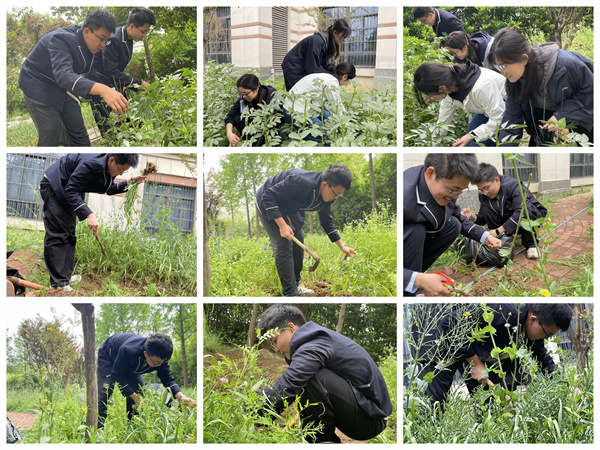 土豆辣椒齐“报到”,看七宝在田间地头种春天!(图2) 土豆辣椒齐“报到”,看七宝在田间地头种春天!(图2)